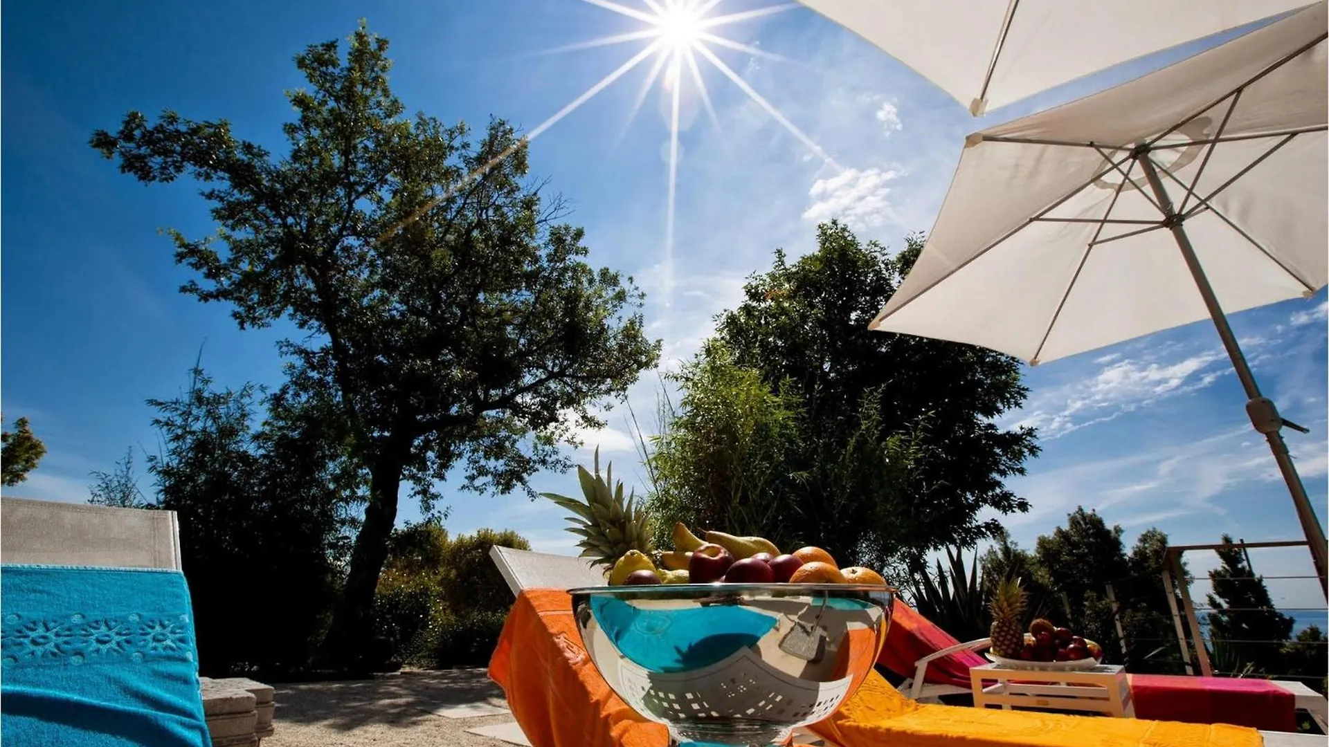 Villa Opatija Hills Breza Holiday home